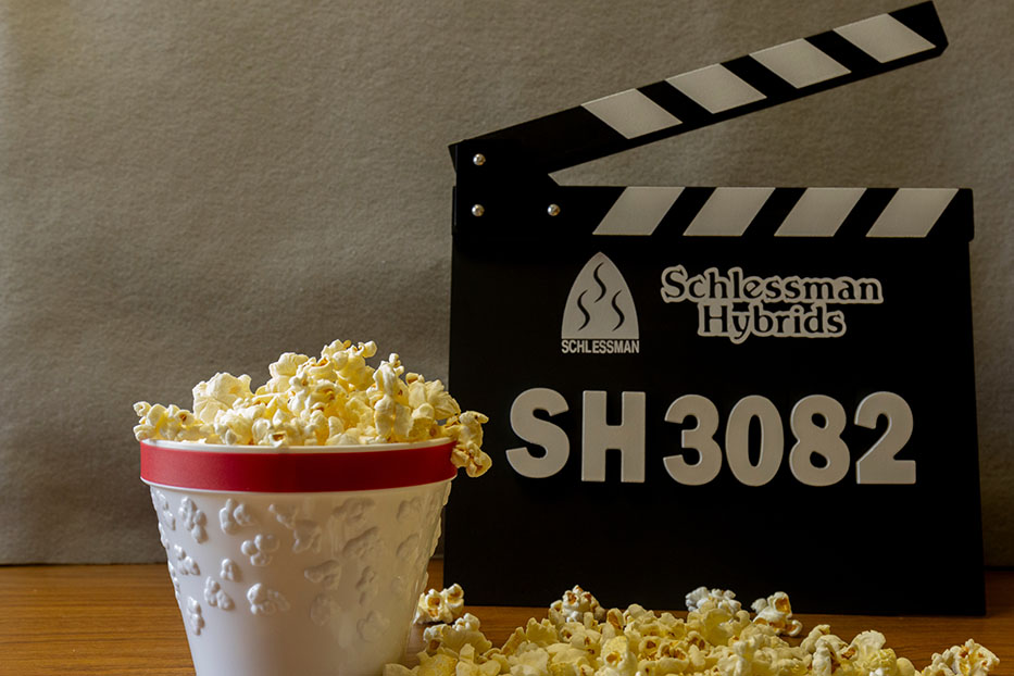Popped SH3082
