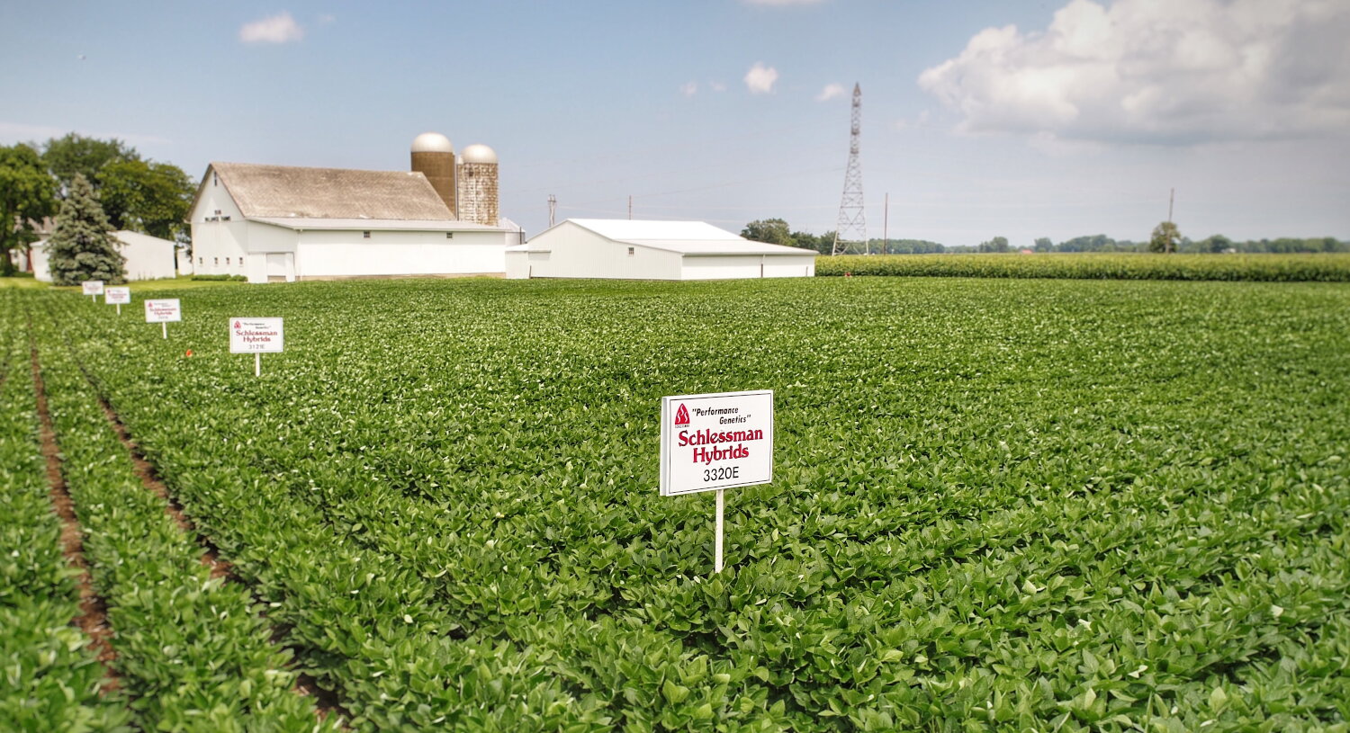 Schlessman® Brand Soybean Strip Plot